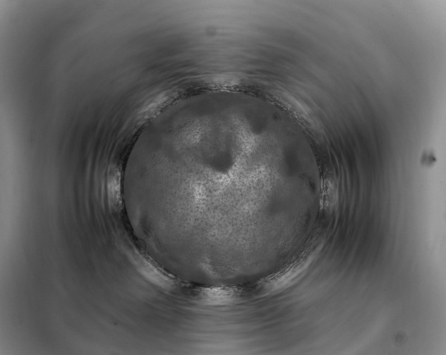 X0000098000238200804071226