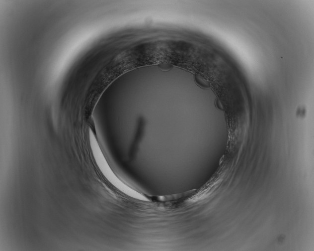 X0000098000239200804071226