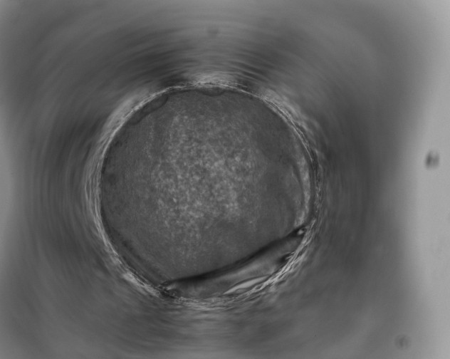 X0000098000241200804071225