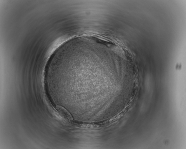X0000098000242200804071225