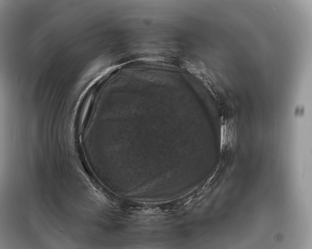 X0000098000243200804071225
