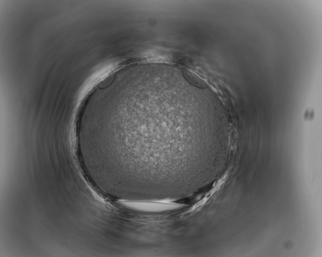 X0000098000245200804071225