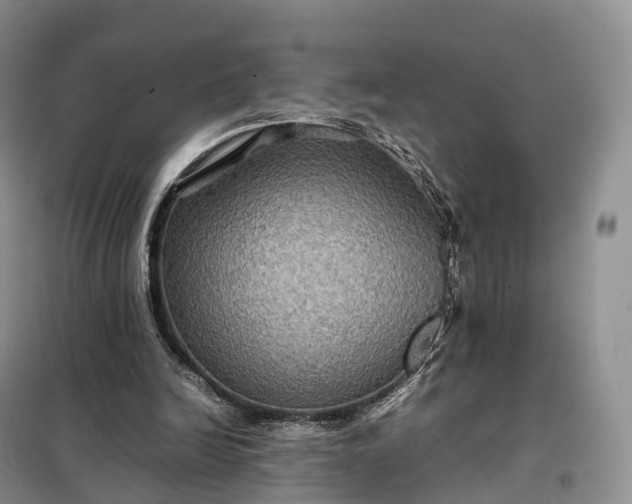 X0000098000246200804071225
