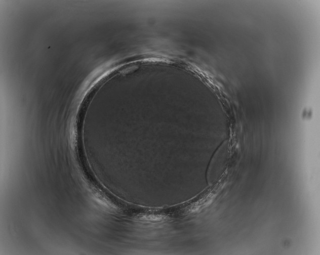 X0000098000247200804071225
