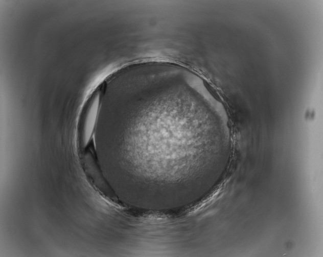 X0000098000248200804071225