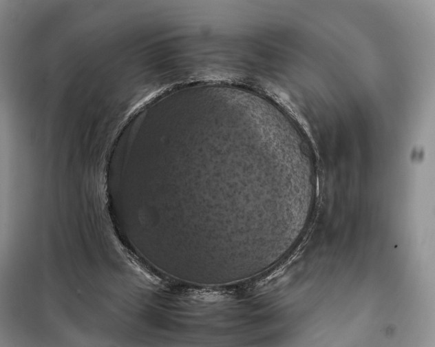 X0000098000249200804071225