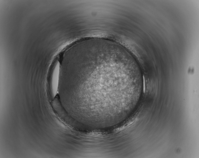 X0000098000252200804071225