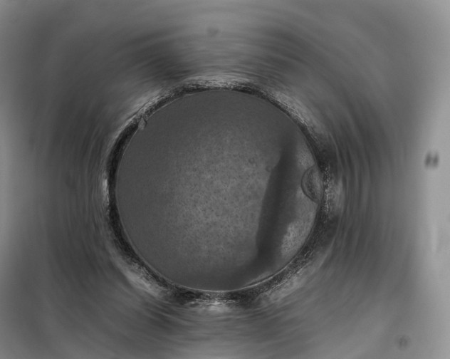 X0000098000254200804071226