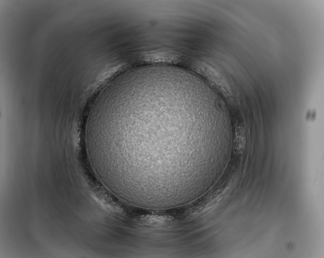 X0000098000255200804071226