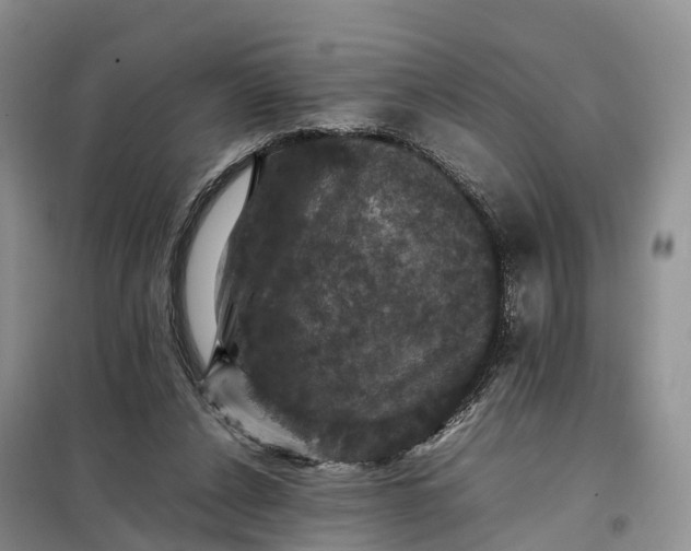 X0000098000256200804071226