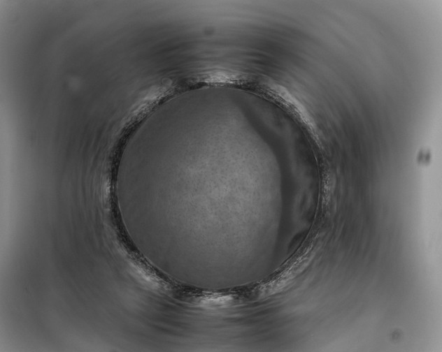 X0000098000257200804071226