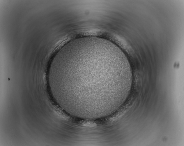 X0000098000258200804071226
