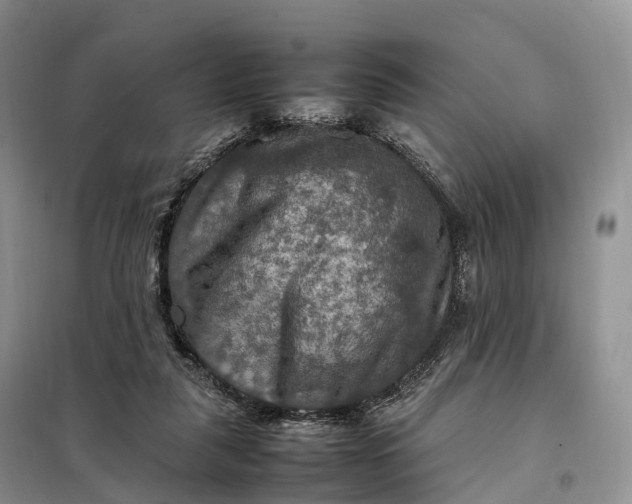 X0000098000259200804071226