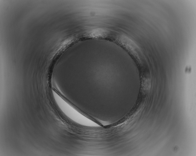 X0000098000260200804071226