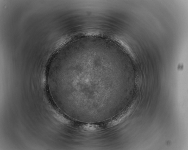 X0000098000261200804071226