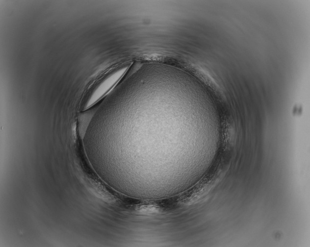 X0000098000262200804071226