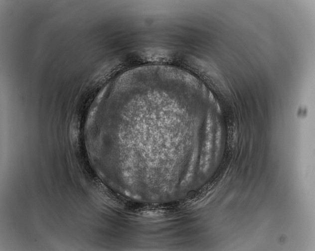 X0000098000263200804071226