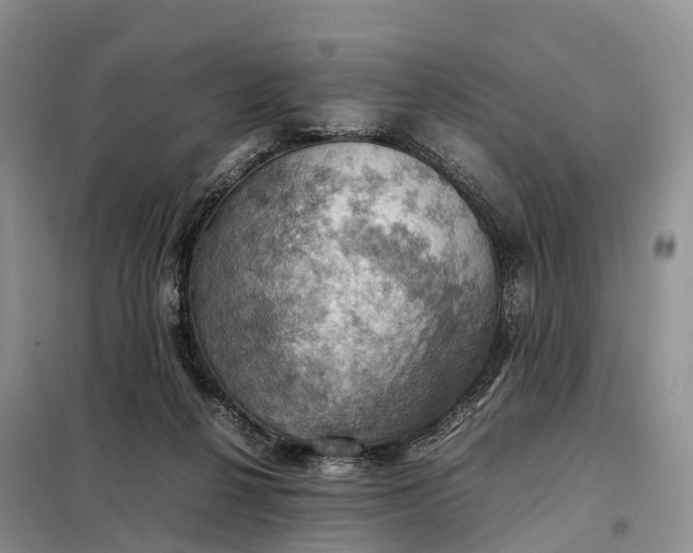 X0000098000264200804071226
