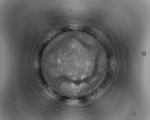 X0000098000266200804071226