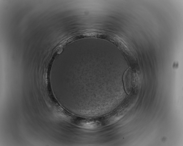 X0000098000267200804071226
