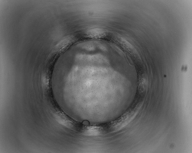 X0000098000268200804071226