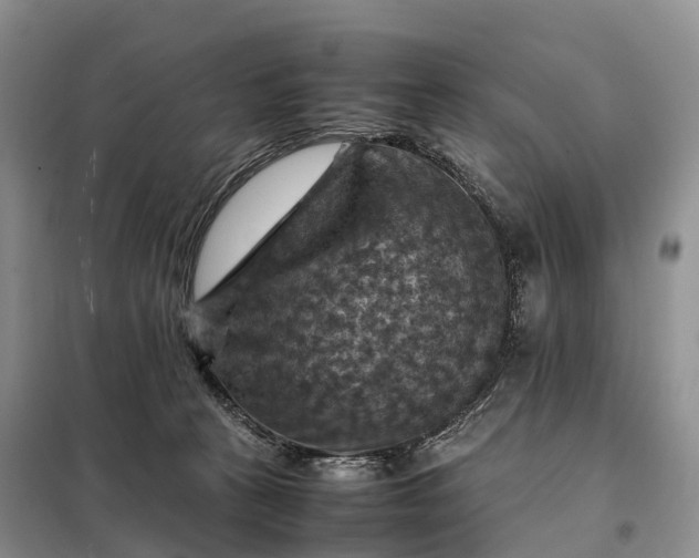 X0000098000273200804071226