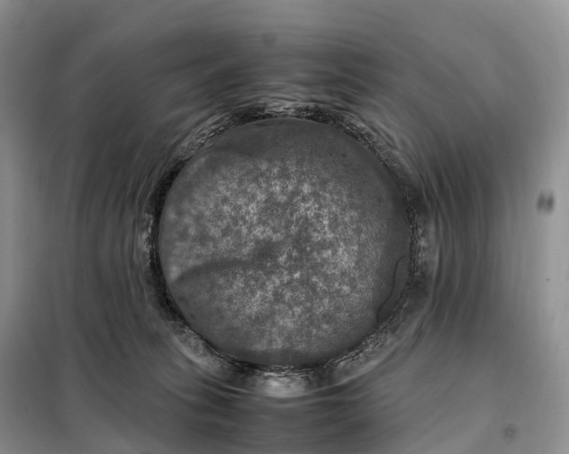 X0000098000275200804071226