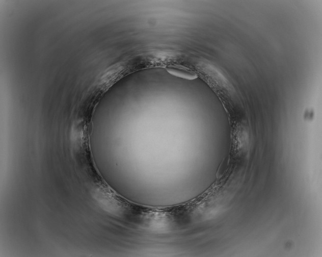 X0000098000276200804071226