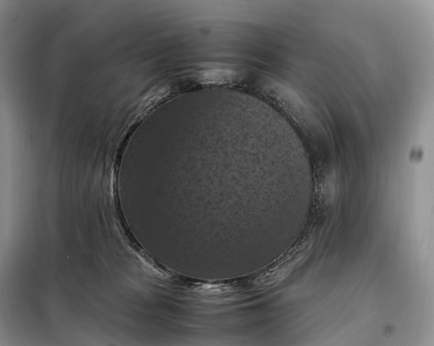 X0000098000277200804071226