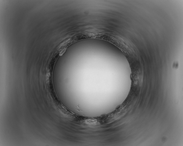 X0000098000279200804071226