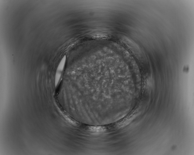 X0000098000281200804071226