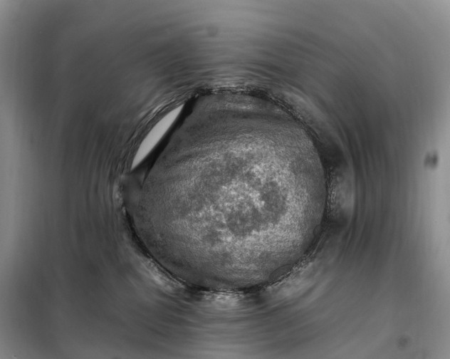 X0000098000282200804071226