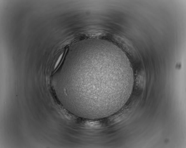 X0000098000283200804071226