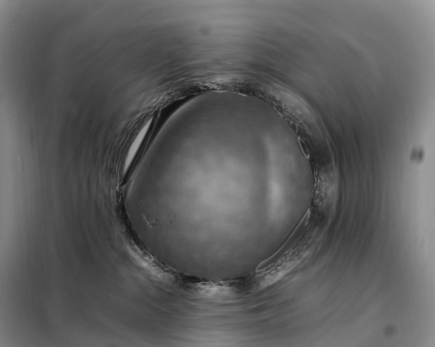 X0000098000284200804071226