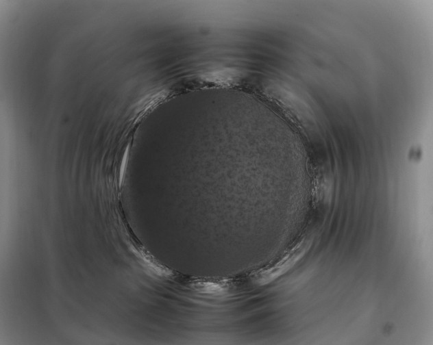 X0000098000285200804071226