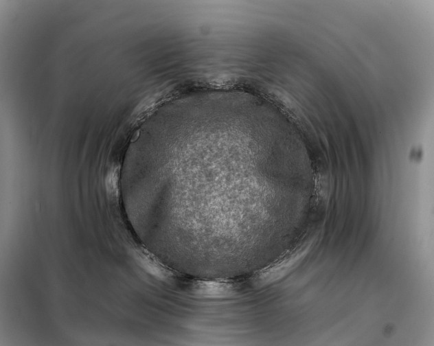 X0000098000286200804071226