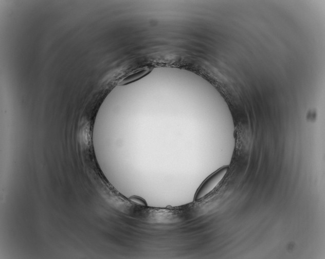 X0000098000287200804071226