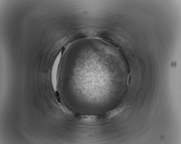 X0000098000288200804071226
