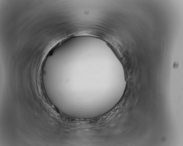 X0000098000289200804071225