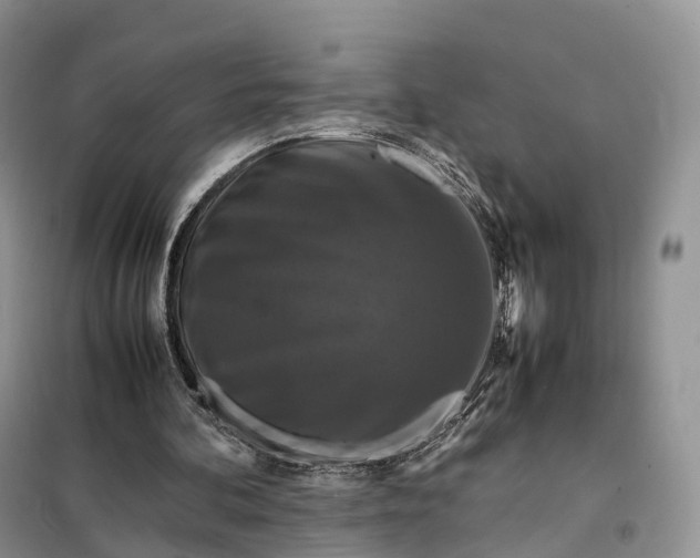 X0000098000292200804071225