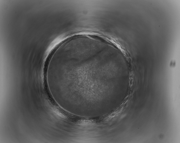 X0000098000296200804071225