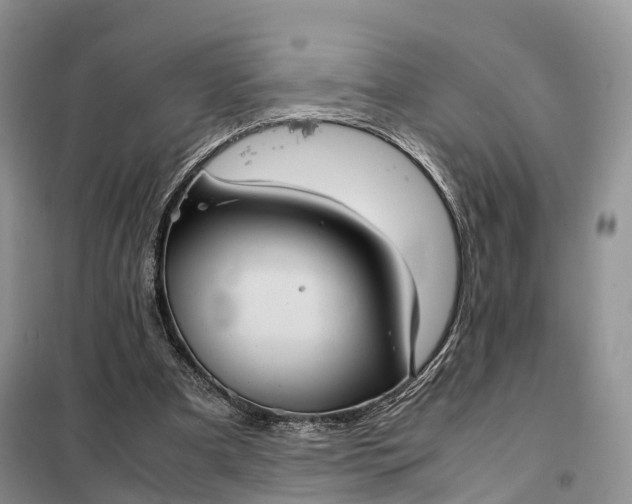 X0000098000297200804071225