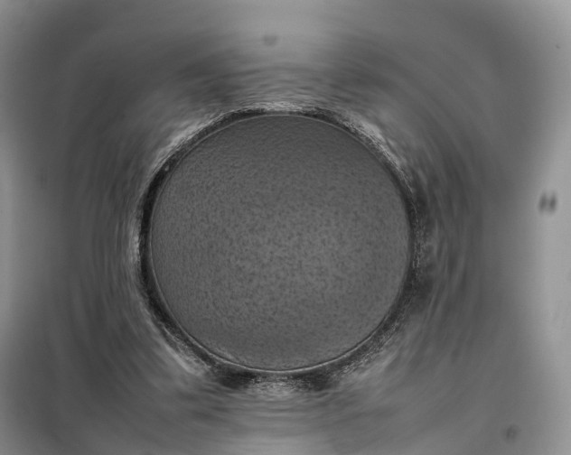 X0000098000299200804071225