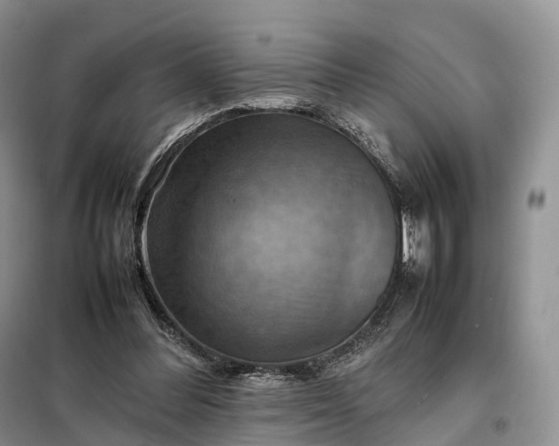 X0000098000300200804071225