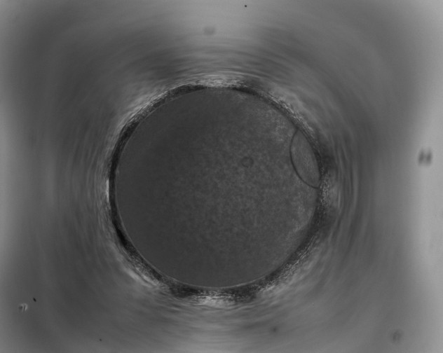 X0000098000303200804071225