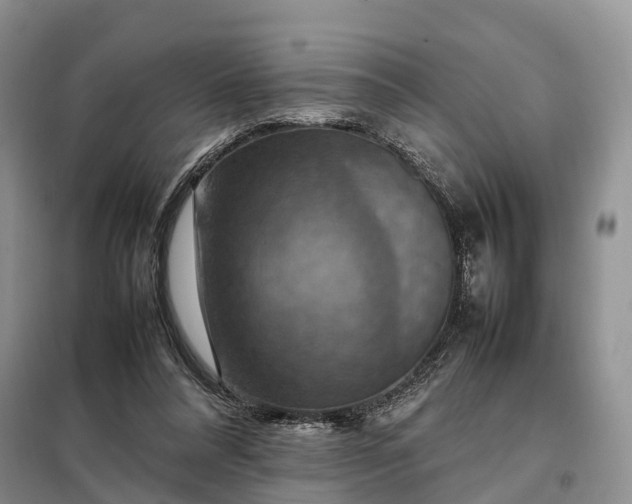 X0000098000304200804071225