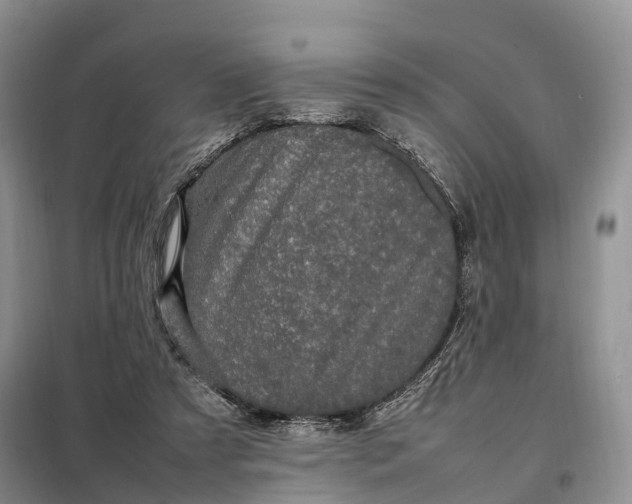 X0000098000305200804071225