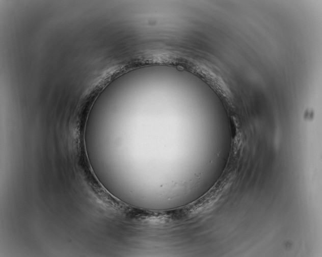 X0000098000306200804071225