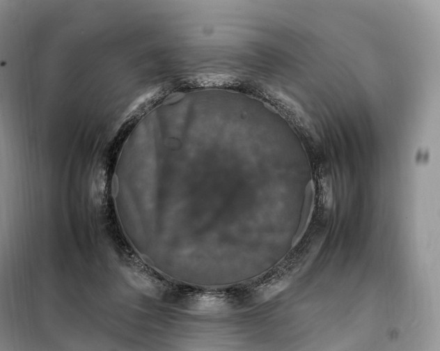 X0000098000308200804071225
