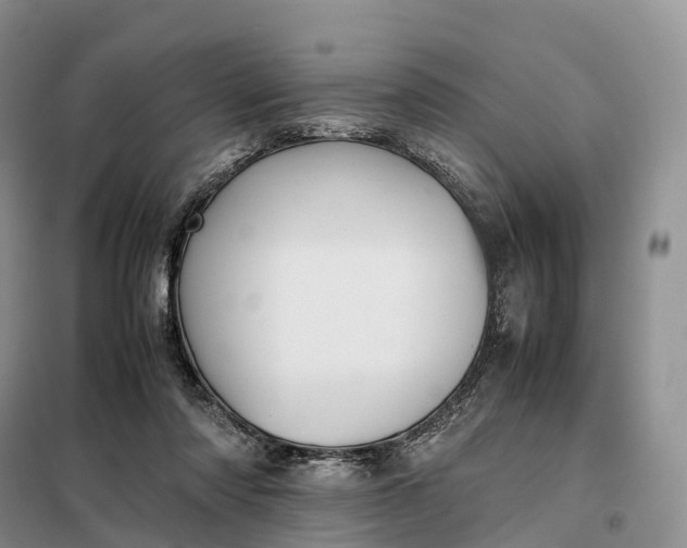 X0000098000310200804071225